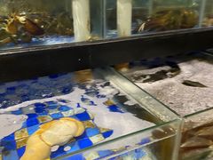 -娱筷海鲜酒家(广州南沙店)