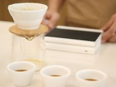 西达摩·花魁-Cafe on warm(丹霞店)