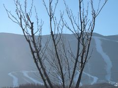 -鳌山滑雪度假区