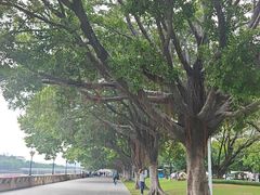 -海心沙亚运公园