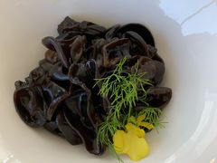 凉拌木耳-海湾壹品·粤菜·早茶·烤鸭(拱北店)