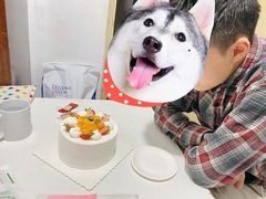 -麦森创意蛋糕(新模范马路地铁站店)