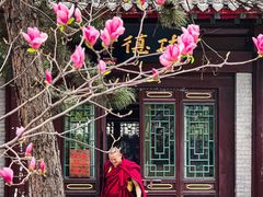 -护国法轮寺