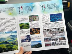 -紫鹊界梯田景区
