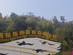 -西双版纳原始森林公园