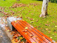 -重庆中央公园(渝北区)