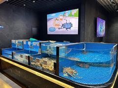 -鑫海汇海鲜烤肉自助(北国商城店)