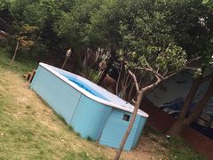 -翊宠yipet猫狗购宠庄园犬舍•猫舍