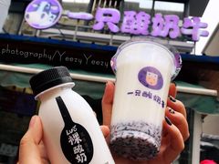 -一只酸奶牛(奎星楼店)