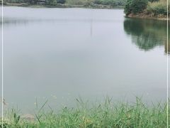 -广东花都湖国家湿地公园
