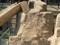 -石家庄市动物园