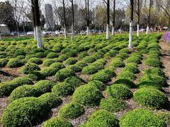 -白塘生态植物园