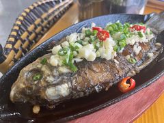 -老黑板筋(顺义总店)
