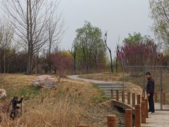 -淇河国家湿地公园