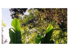 -常州古运河南大街文化旅游区-人民公园
