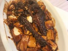 红烧豆腐烩黄鱼-玲珑餐厅(陕西南路店)