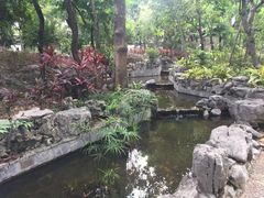 -九龙公园