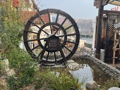 -慢丽江·云南野生菌土鸡锅(付家庄店)