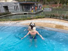 -太阳岛度假酒店