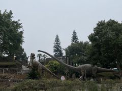 -自贡恐龙博物馆