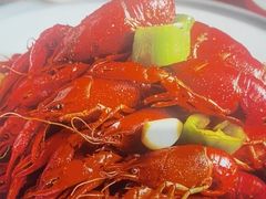 -杨氏青龙虾·羊蝎子(托乐嘉店)