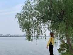 -瑶湖郊野森林公园