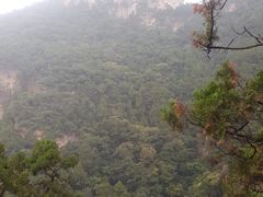 -北京上方山国家森林公园