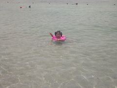 -东姑阿都拉曼海洋公园