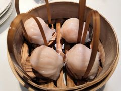 -金鼎轩(亚运村店)