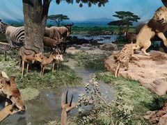 -国家自然博物馆