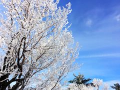-中旅松花湖滑雪场