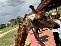 -鄂尔多斯野生动物园