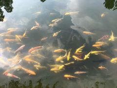 -沂蒙云瀑洞天景区