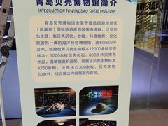 -青岛贝壳博物馆