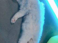 -零纪元VR体验馆·桌游(黄浦店)