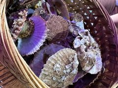 高压锅扇贝-蚝堡海鲜·威海菜·海肠捞饭·烧烤·亚洲吃蚝公司(幸福门店)