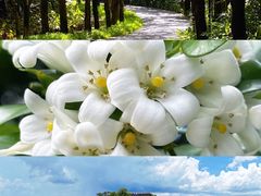 -海南文笔峰盘古文化旅游区