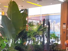 -润园四季椰子鸡火锅(南山海岸城店)