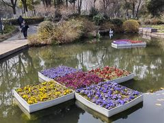 -圩墩遗址公园