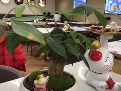 -东方饺子王(新奥购物中心店)