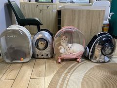 -猫大福·Fortune Cat猫舍(百子湾店)