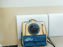 -美联众合动物医院·24h转诊中心