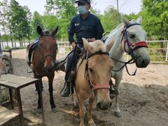 -上海海湾国家森林公园