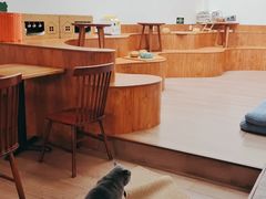 -有猫主题·治愈系猫咖(曾厝垵店)