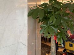 -喜来登由由大酒店九州膳坊中餐厅