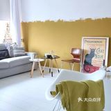 今日分享出人意料的家居配色，绝美背景墙