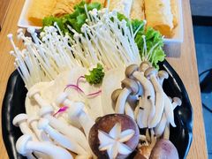 -彤德莱(奥林店)