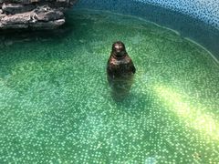 -皇家园林酒店