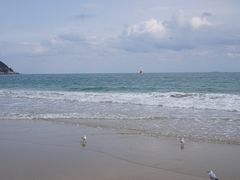 -海云台海滩