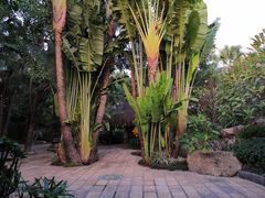 -厦门日月谷温泉渡假村